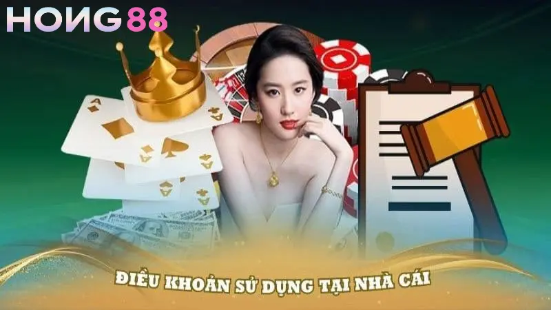 Ý nghĩa của điều khoản sử dụng của Hong88