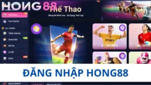 đăng nhập hong88